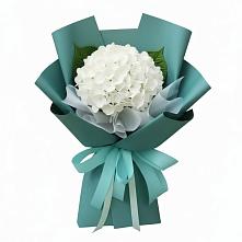 Букет цветов из:  Гортензия #REPLACE_PRED# Покачах